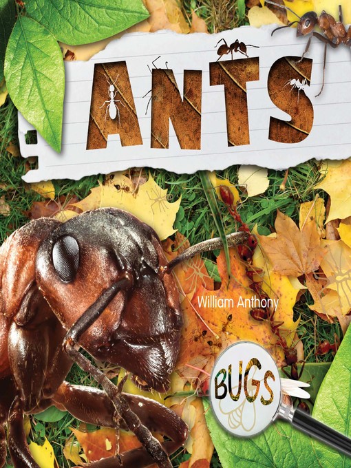 Title details for Ants by William Anthony - Available